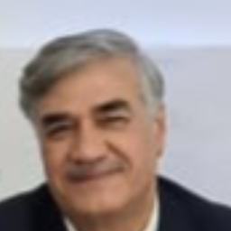 Husin Ali