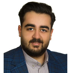 SeyedmohammadHossein Hosseini