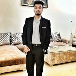 sahil wahi