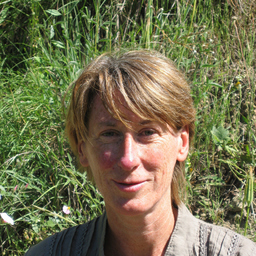 Sibylle Kneifel