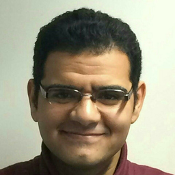 Tamer Saleh Mostafa Ahmed