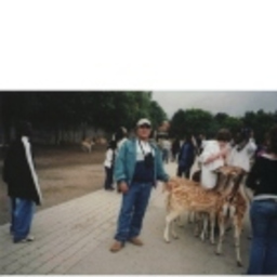 Luis Barrera