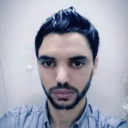 Dipl.-Ing. Saber Nasraoui