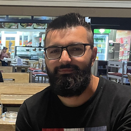 Dzenis Dzambic
