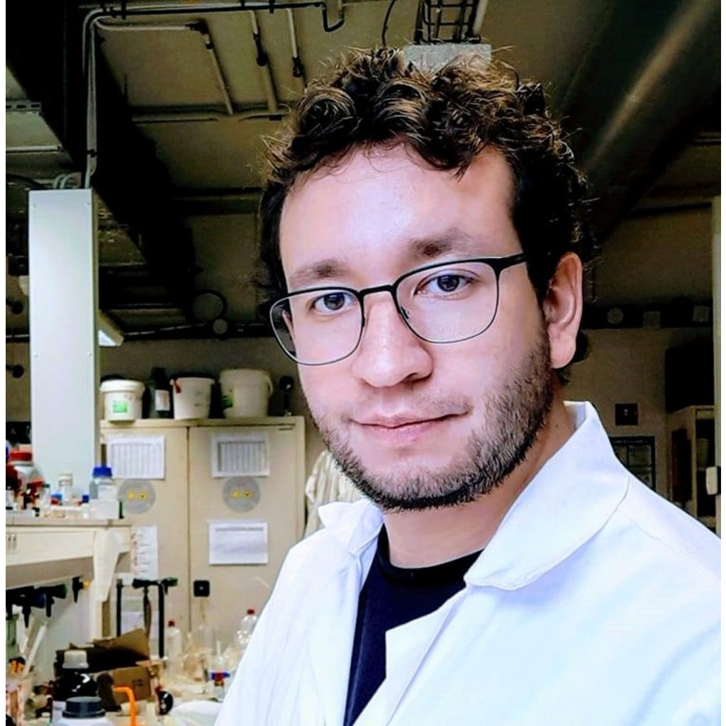 ulises carrillo Postdoctoral Researcher CNRS XING