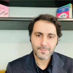 Seyed Saleh Karimi