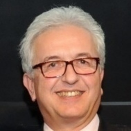 Ing. Heinz Ebenstein MBA