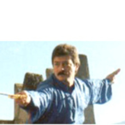 maurizio gandini