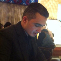 Alaa Hendi
