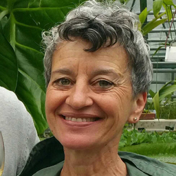 Silvia Bollhalder