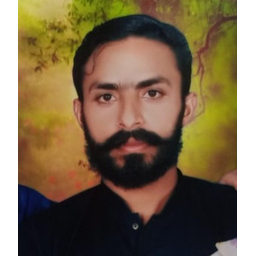 Hussnain Raza