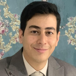 Ehsan Mirzaei