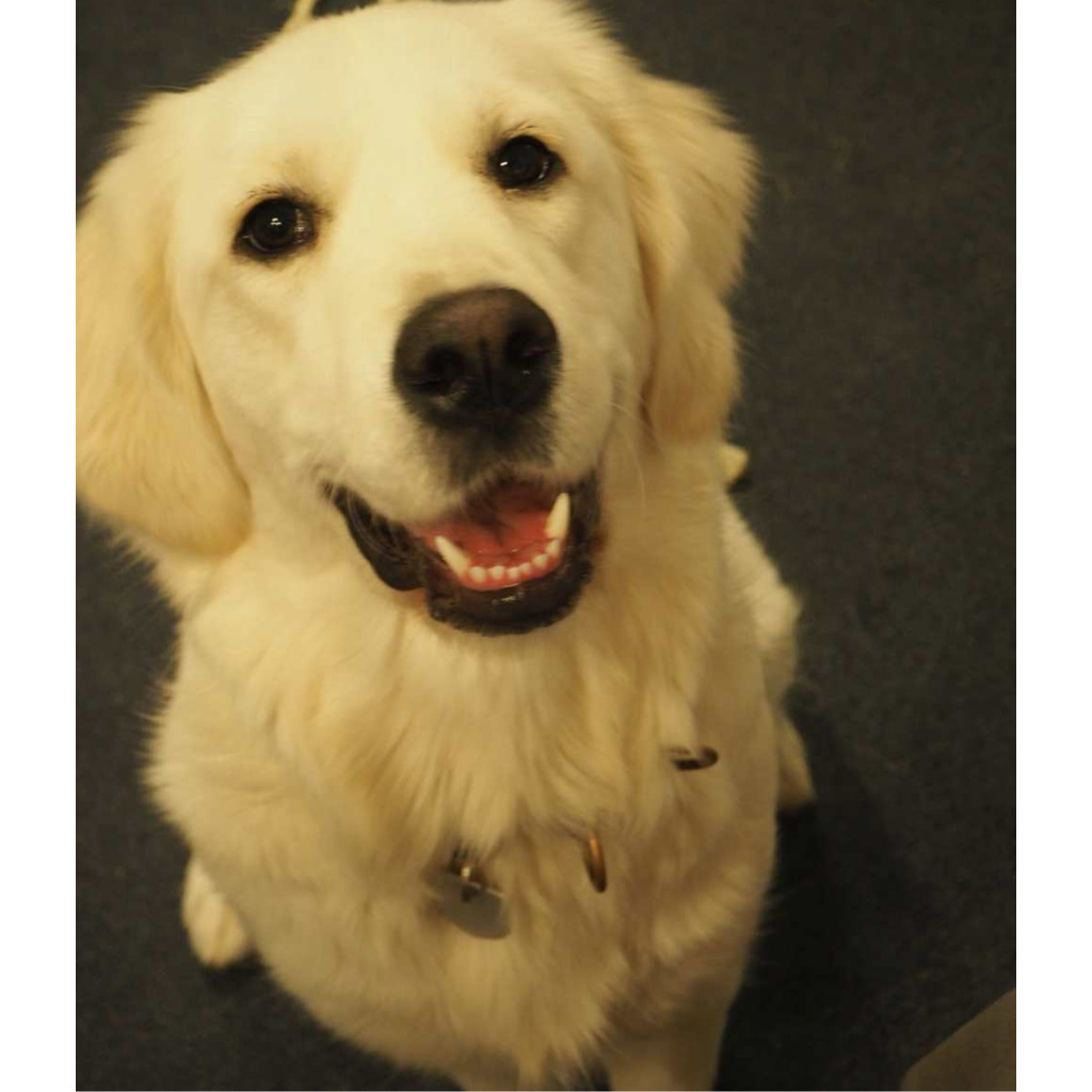 Wolfgang Pohl Rentner HygieTast UG XING