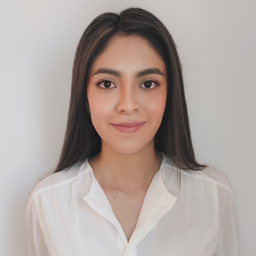 Ing. Valery Cañari Rodriguez