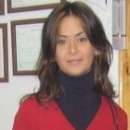 Feyza Akın