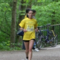 Michaela Scharl
