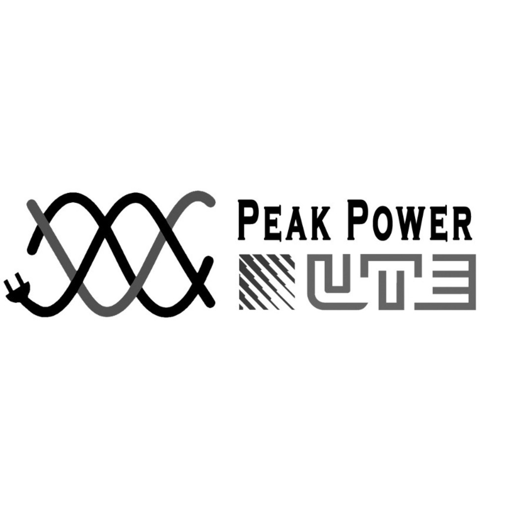 Rated Power Vs Peak Power