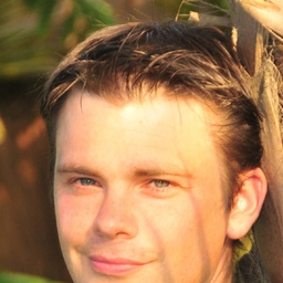 Maik Wessel