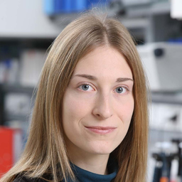 Dr. Eva Hitzenhammer
