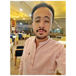 ahmed salama