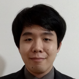 Hoang Nam Nguyen