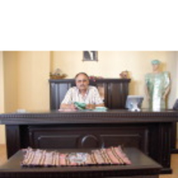 Alim Ergin