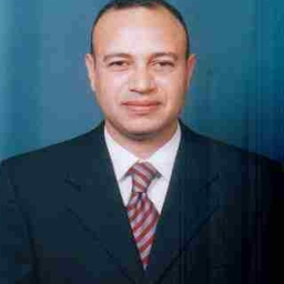 Tamer Badran