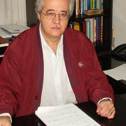 francisco medina santana