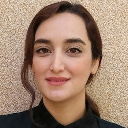 salimeh shakibaei