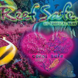 Tropical Seas
