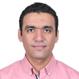 Ing. Hazem Ayyad