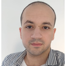 Khaled El-Ramam