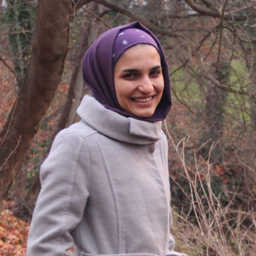 nastaran mehboudi