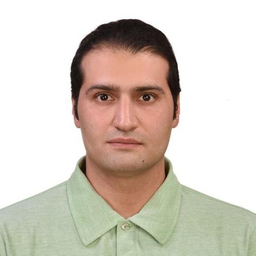 Reza Hosseini Amir Abadi