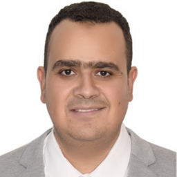 Mohamed Ismail