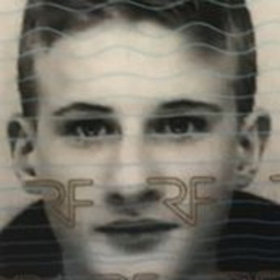 Rémy albert