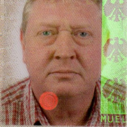 Uwe Müller