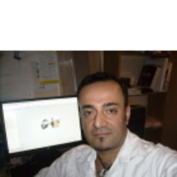 Bulent Kilic