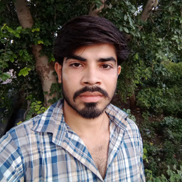 Vikash Meena
