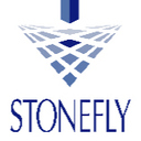 Stone Fly