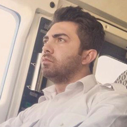 Seyedreza Hosseini Azad