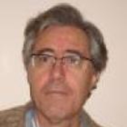 Pere Badiella Abril