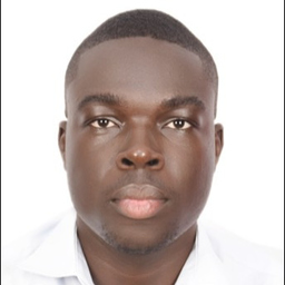 Denis Luc Andre Ecomano