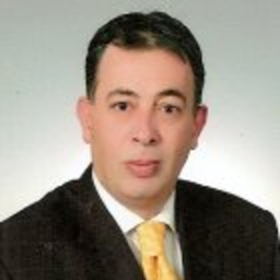 Levent Erol