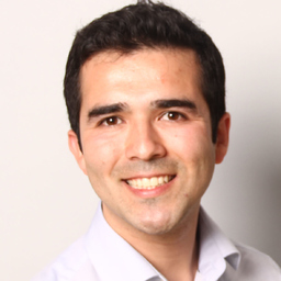 Ing. Luis Sepulveda
