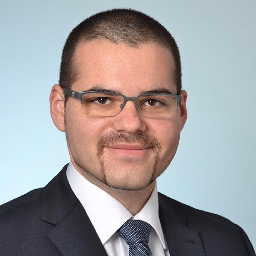 Frank Schwab Senior SAP Consultant (BI/BW) profine Group XING