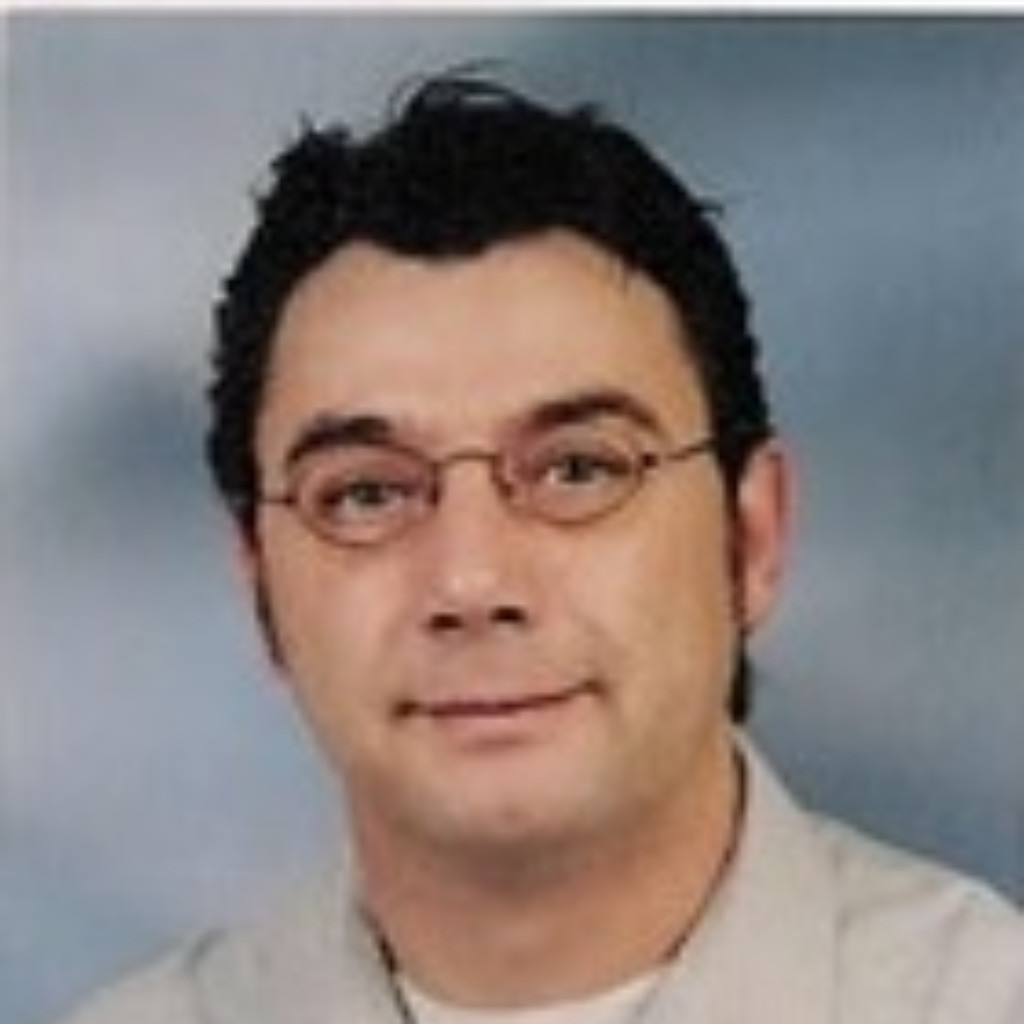 Armin Fritz Systemingenieur ESG Mobility GmbH XING