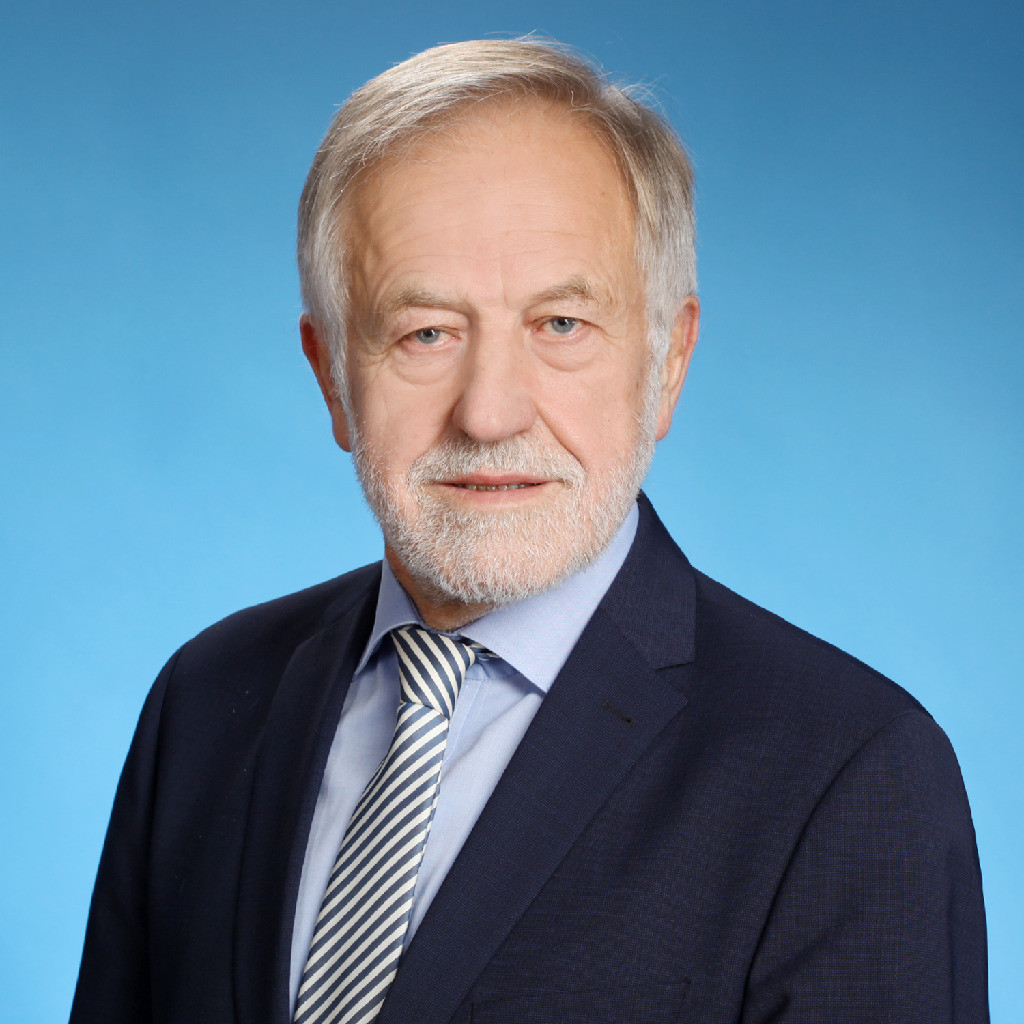 Johann Strigl Unternehmer JS Renewable Energy XING