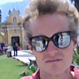 Michael Kleemann