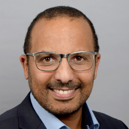 Dipl.-Ing. Karim Laroussi